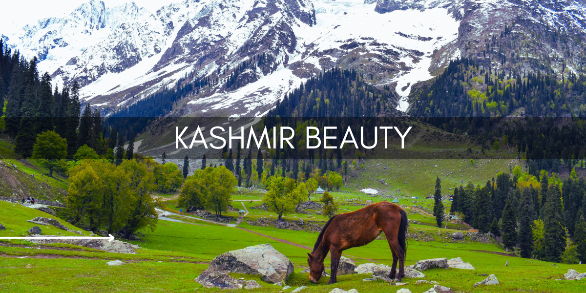 Best Time to Visit Kashmir for Snow: Month-by-Month Guide to Kashmir’s Winter Wonderland