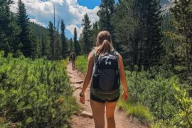 Travel Guide