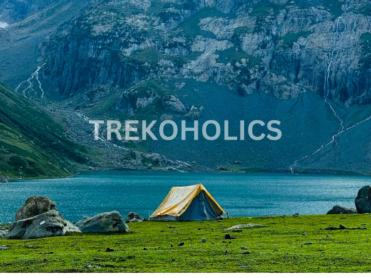 Trekoholics (13)