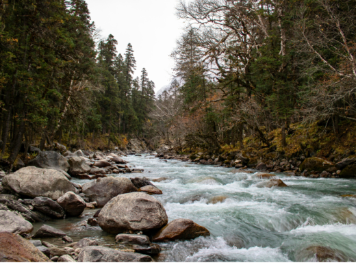 Har ki dun trek