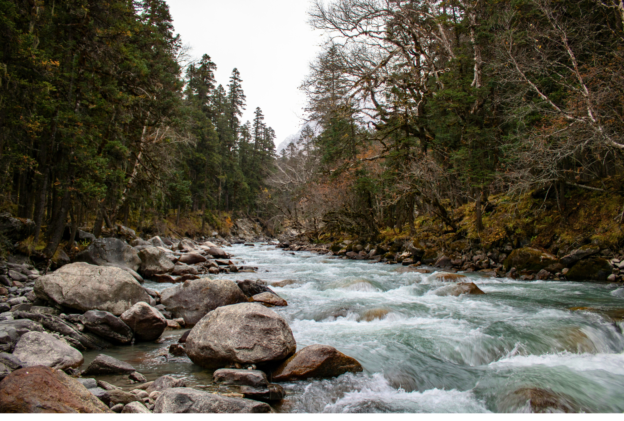 Har ki dun trek